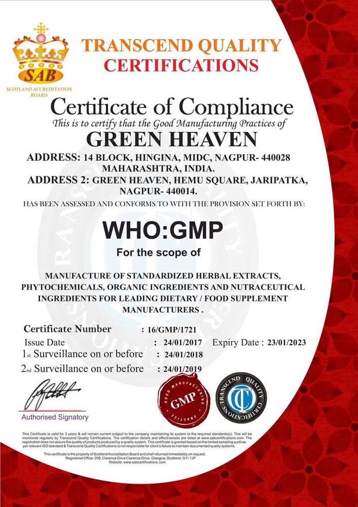 WHO GMP Certificate