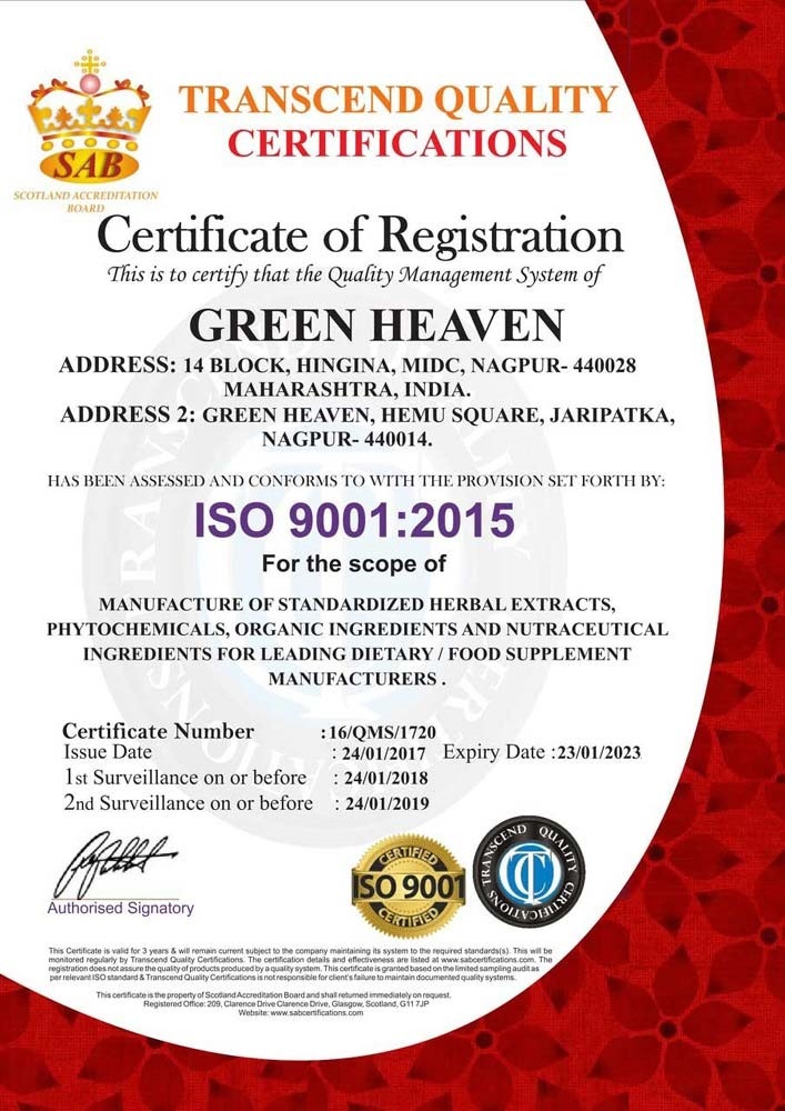 AN ISO 9001:2015 CERTIFICATE