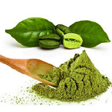 Chlorogenic Acid