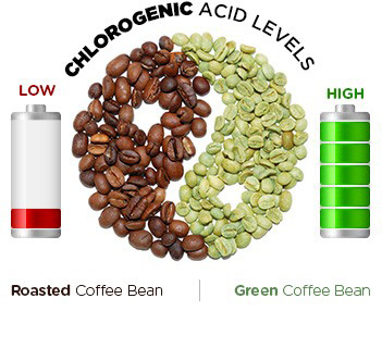 Green Coffee Beans